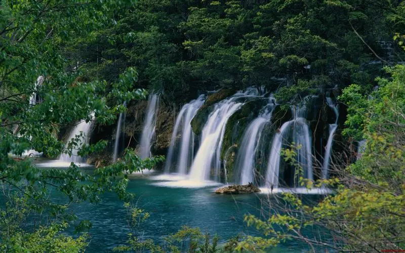 网络化节能
